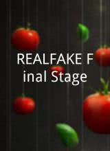 REALFAKEFinalStage