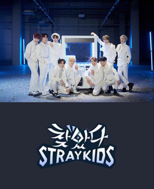 找到了StrayKids